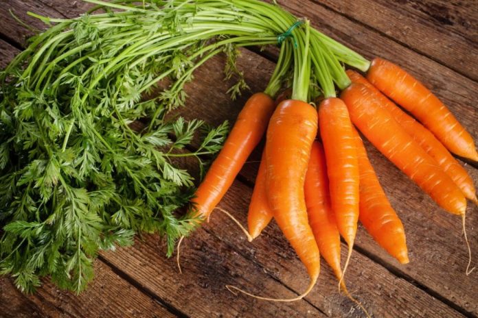 Низькокалорійна, поживна і солодка: чому морква — ідеальний продукт для здоров’я