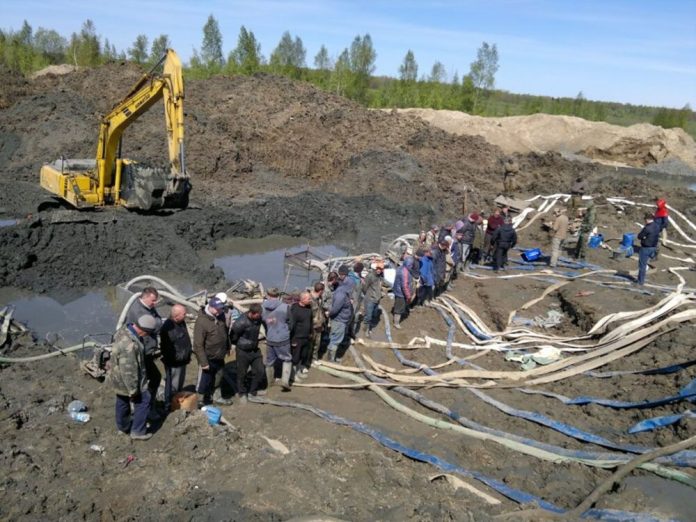 Правоохоронці Рівненщини розкрили масштабну схему промислового видобутку бурштину