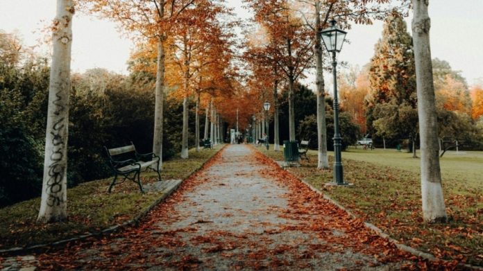 Події, свята та пам’ятні дати 18 листопада 2025 року: церковні вшанування й історичні згадки у 1363-й день війни