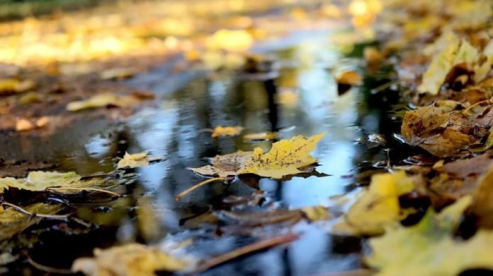 Погіршення погоди в Україні 16 листопада: дощі та зниження температури