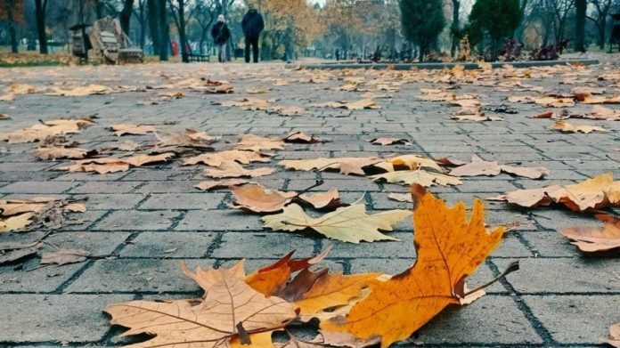 Потепління в середині тижня: синоптики обіцяють більш м’яку та стабільну погоду по всій країні