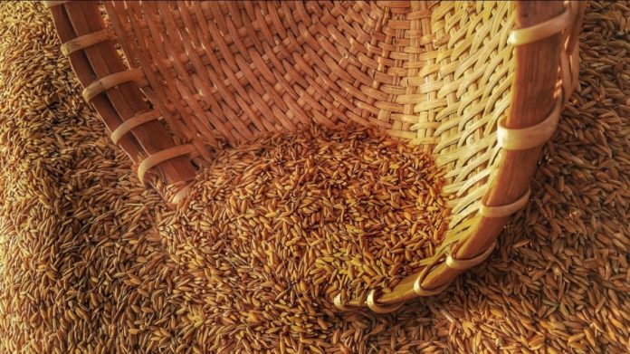 Вирок ВАКС у 