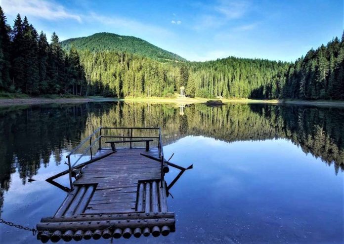 Службова недбалість і втрата заповідних земель: справа щодо території НПП 