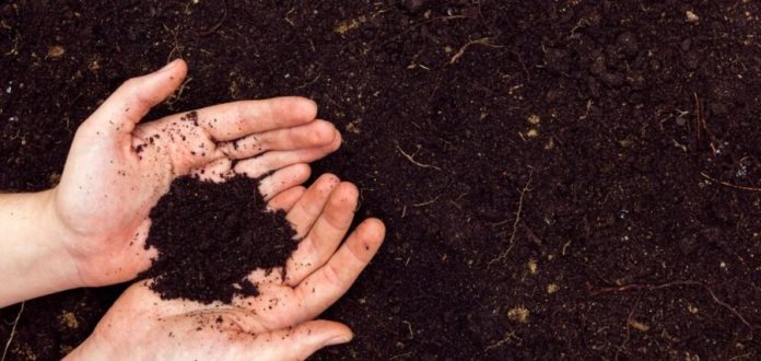 Український ринок землі: перспективи зростання та можливі сценарії розвитку у 2026 році