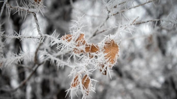 Морозні вихідні в Україні: очікується ясна та спокійна погода