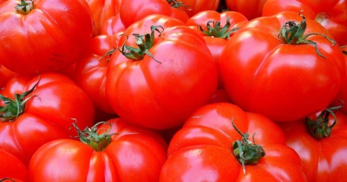 Зростання цін на імпортні томати в Україні: що стоїть за підвищенням вартості
