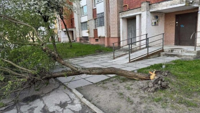 Сильний буревій завдав шкоди західним областям України